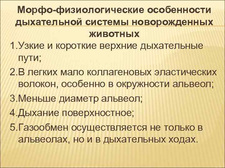 Морфо-физиологические особенности дыхательной системы новорожденных животных 1. Узкие и короткие верхние Морфо-физиологические особенности дыхательной системы новорожденных животных 1. Узкие и короткие верхние