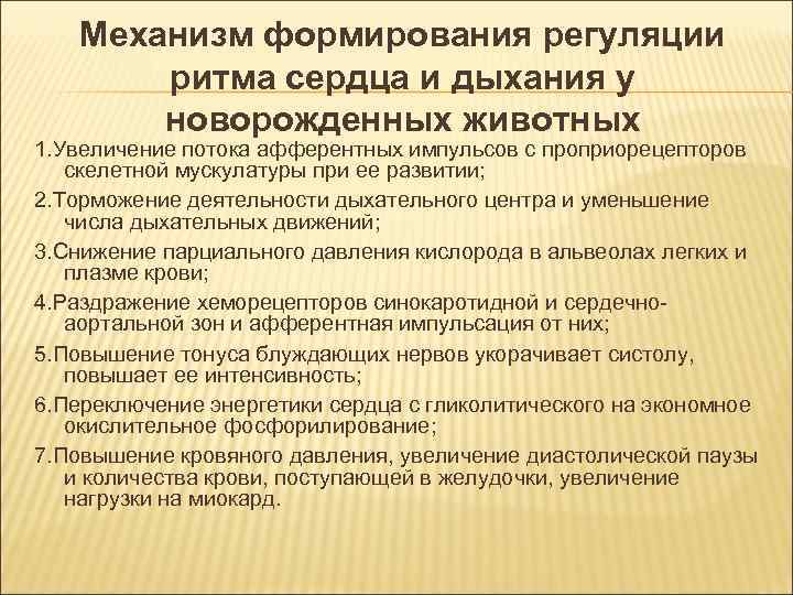 Механизм формирования регуляции ритма сердца и дыхания у новорожденных животных Механизм формирования регуляции ритма сердца и дыхания у новорожденных животных