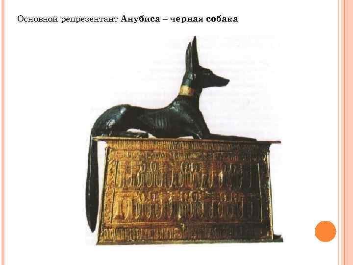 Основной репрезентант Анубиса – черная собака 