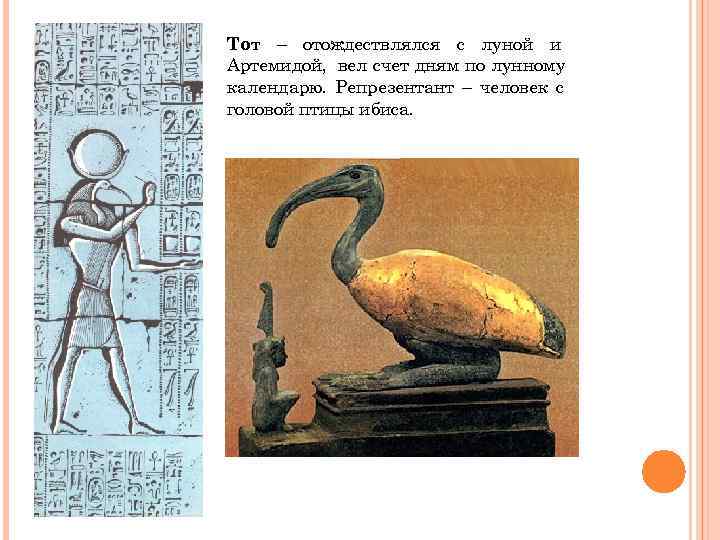 Тот – отождествлялся с луной и Артемидой, вел счет дням по лунному календарю. Репрезентант