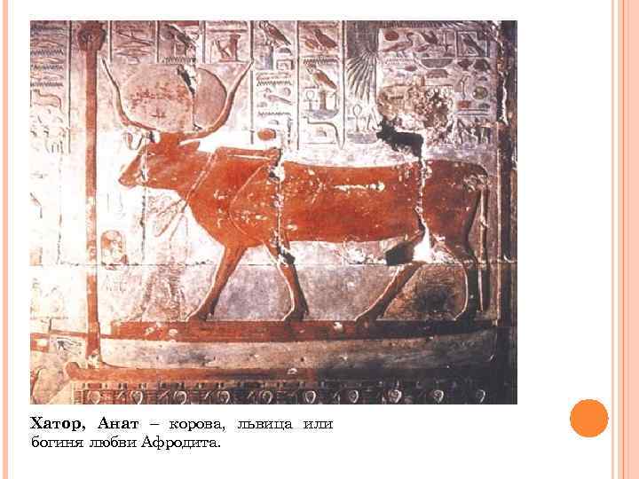 Хатор, Анат – корова, львица или богиня любви Афродита. 