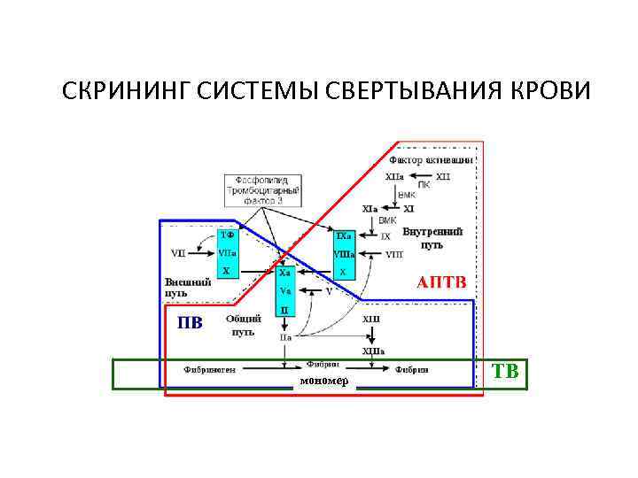 Решаемые задачи скрининговых систем схема