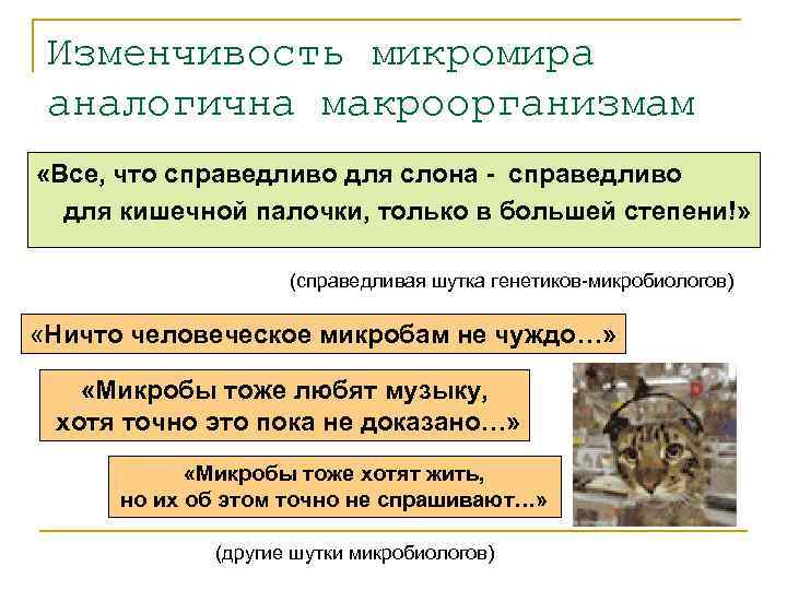  Изменчивость микромира аналогична макроорганизмам «Все, что справедливо для слона - справедливо  для