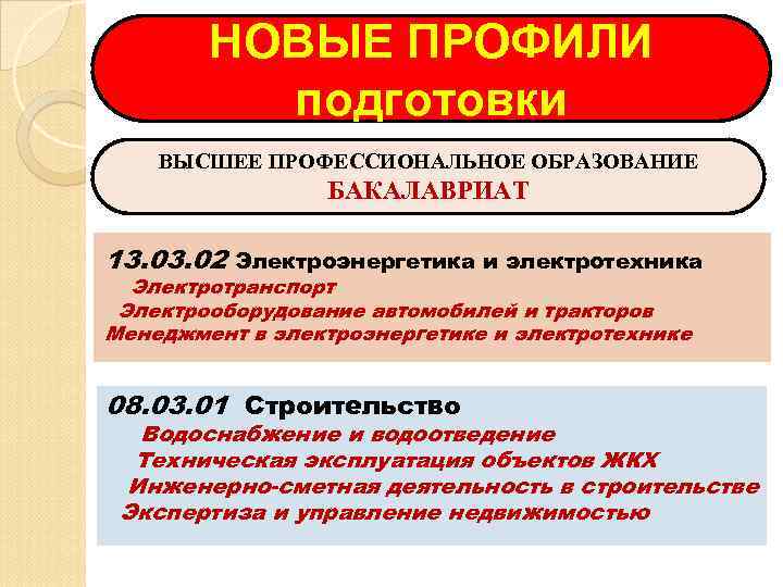   НОВЫЕ ПРОФИЛИ  подготовки ВЫСШЕЕ ПРОФЕССИОНАЛЬНОЕ ОБРАЗОВАНИЕ   БАКАЛАВРИАТ 13. 02