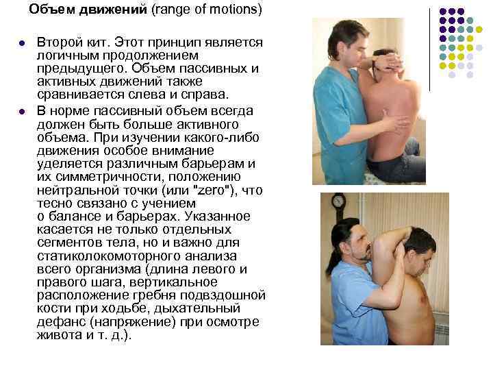   Объем движений (range of motions)  l  Второй кит. Этот принцип