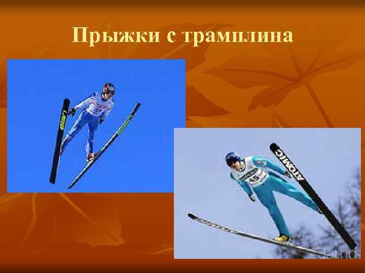 Прыжки с трамплина Прыжки с трамплина