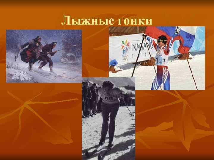 Лыжные гонки Лыжные гонки