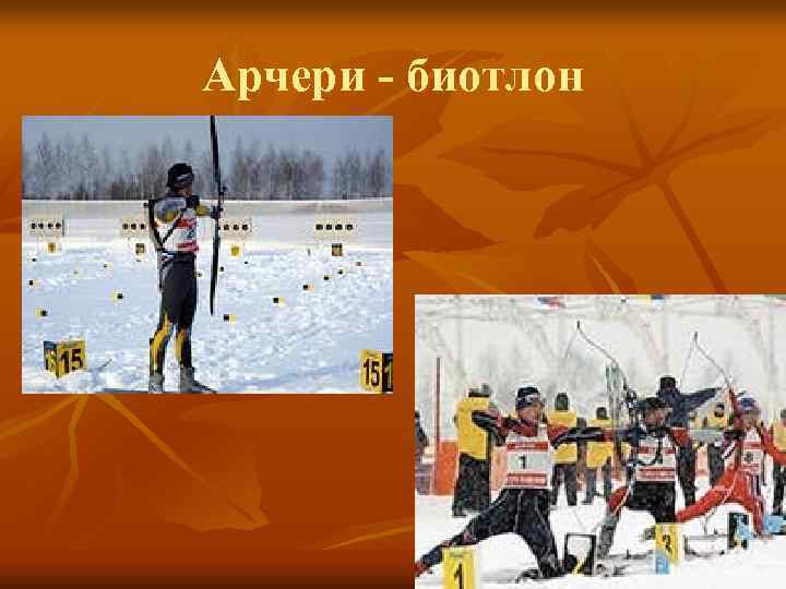 Арчери - биотлон Арчери - биотлон