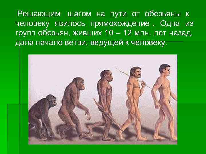  Решающим шагом на пути от обезьяны к     человеку