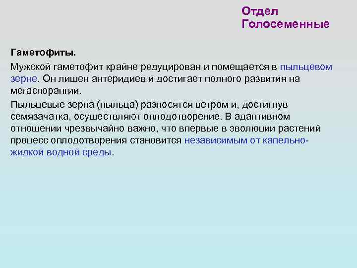     Отдел    Голосеменные Гаметофиты. Мужской гаметофит крайне редуцирован