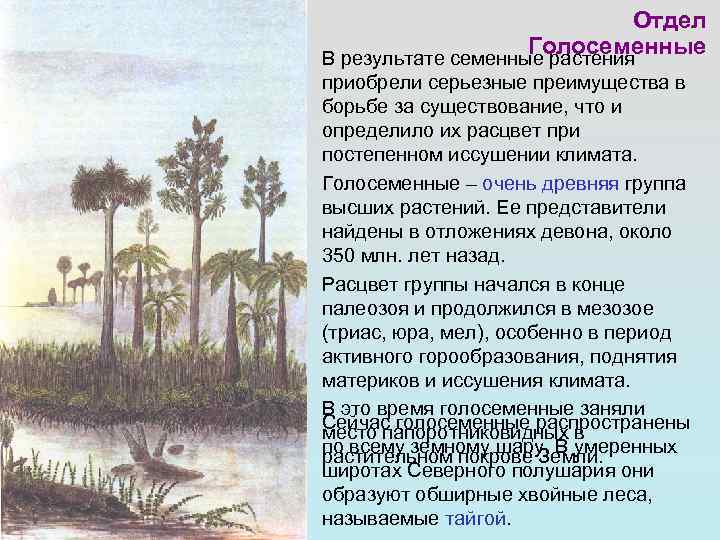      Отдел     Голосеменные В результате семенные