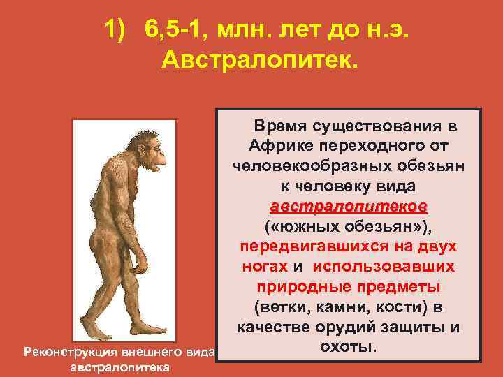   1) 6, 5 -1, млн. лет до н. э.   Австралопитек.