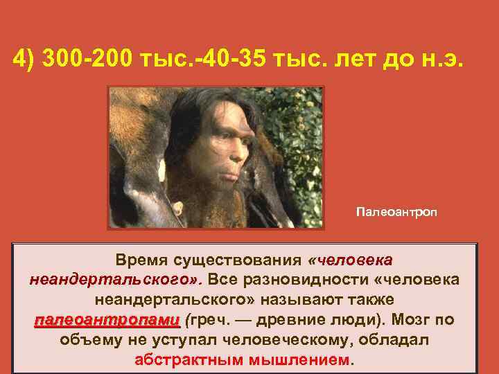4) 300 -200 тыс. -40 -35 тыс. лет до н. э.   