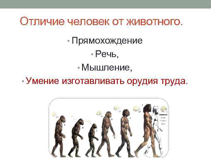 Отличие человек от животного.  • Прямохождение    • Речь,  