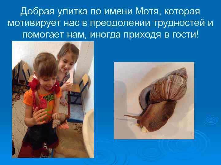  Добрая улитка по имени Мотя, которая мотивирует нас в преодолении трудностей и 