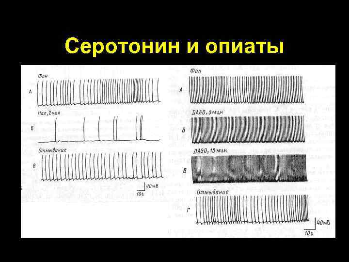 Серотонин и опиаты 