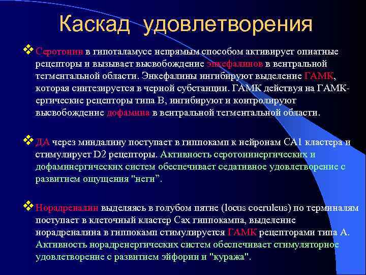   Каскад удовлетворения v Серотонин в гипоталамусе непрямым способом активирует опиатные  рецепторы