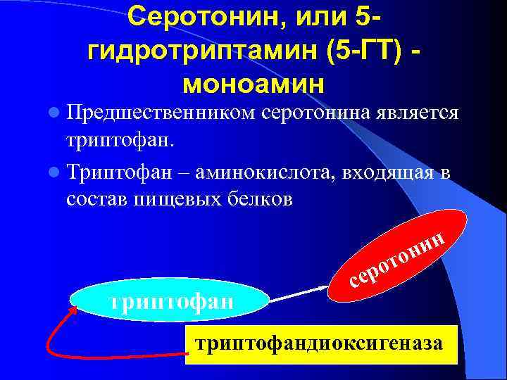  Серотонин, или 5 -  гидротриптамин (5 -ГТ) -  моноамин l Предшественником