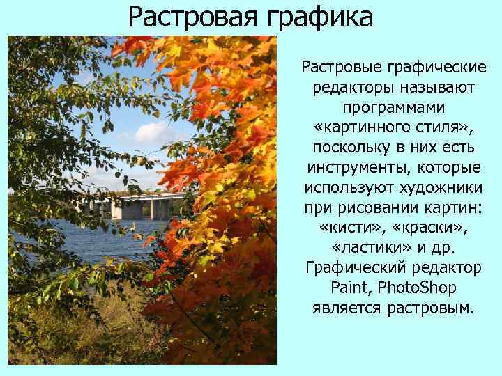 Растровая графика  Растровые графические   редакторы называют   программами  