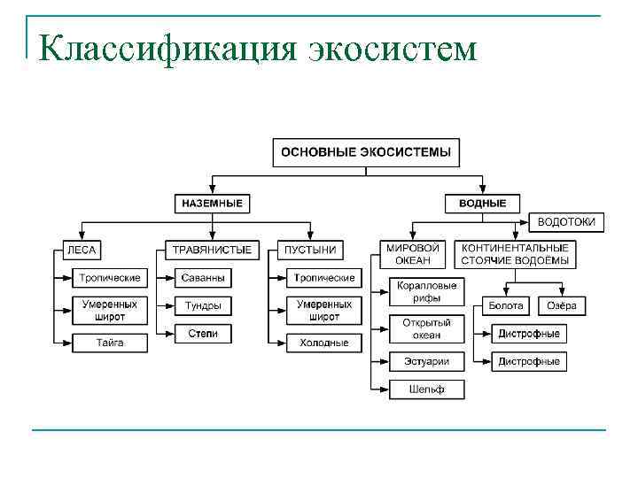 Классификация экосистем 