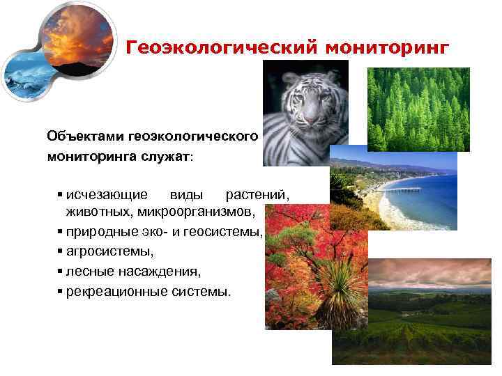   Геоэкологический мониторинг  Объектами геоэкологического мониторинга служат:  § исчезающие виды 