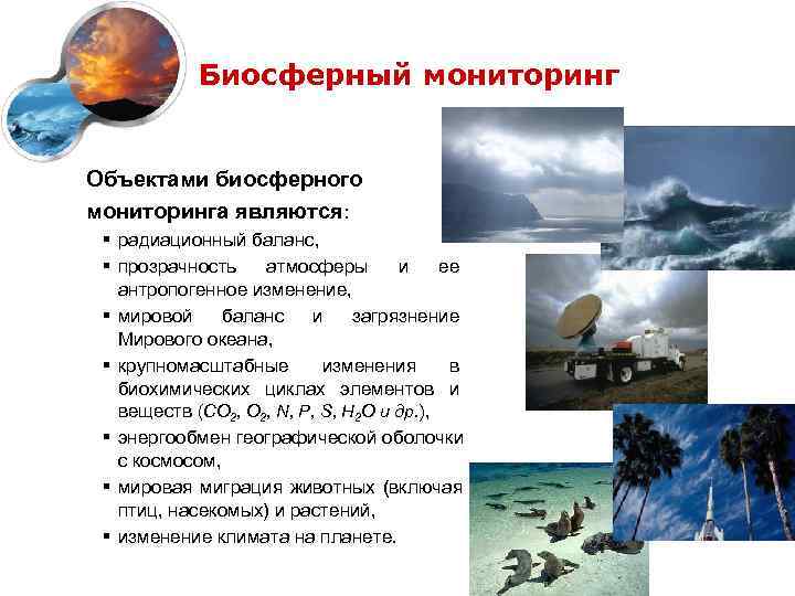   Биосферный мониторинг  Объектами биосферного мониторинга являются:  § радиационный баланс, 