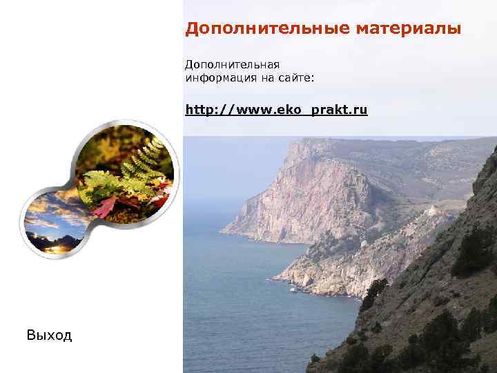   Дополнительные материалы   Дополнительная   информация на сайте:  http: