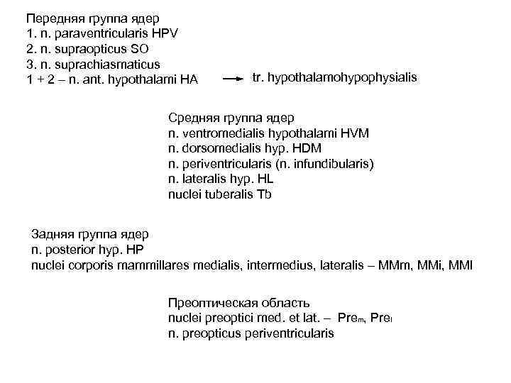Передняя группа ядер 1. n. paraventricularis HPV 2. n. supraopticus SO 3. n. suprachiasmaticus