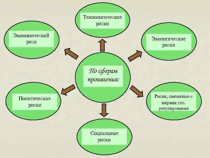 Риски проекта экология