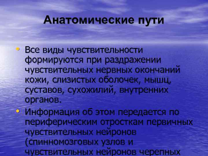   Анатомические пути • Все виды чувствительности формируются при раздражении чувствительных нервных окончаний