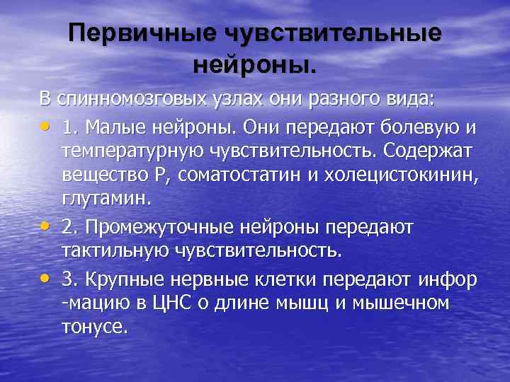  Первичные чувствительные  нейроны.  В спинномозговых узлах они разного вида:  •