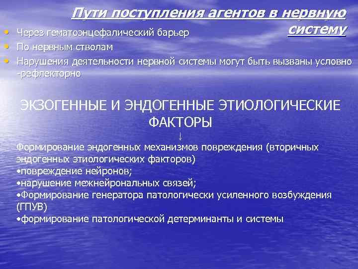    Пути поступления агентов в нервную • Через гематоэнцефалический барьер систему •