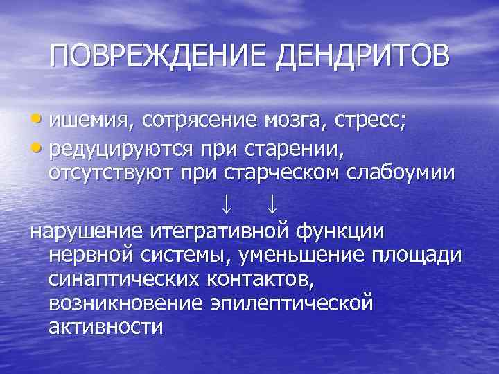  ПОВРЕЖДЕНИЕ ДЕНДРИТОВ • ишемия, сотрясение мозга, стресс;  • редуцируются при старении, отсутствуют