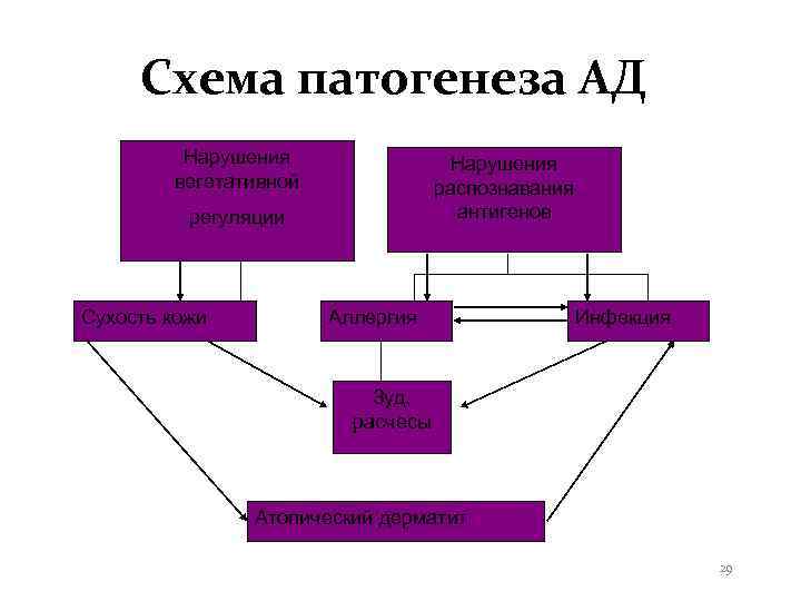  Схема патогенеза АД   Нарушения   вегетативной    распознавания