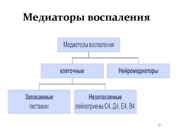 Медиаторы воспаления      30 