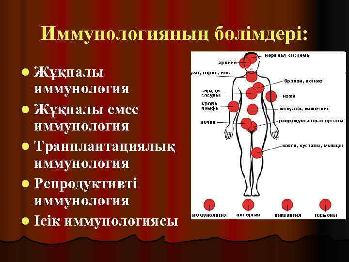  Иммунологияның бөлімдері: l Жұқпалы  иммунология l Жұқпалы емес  иммунология l Транплантациялық