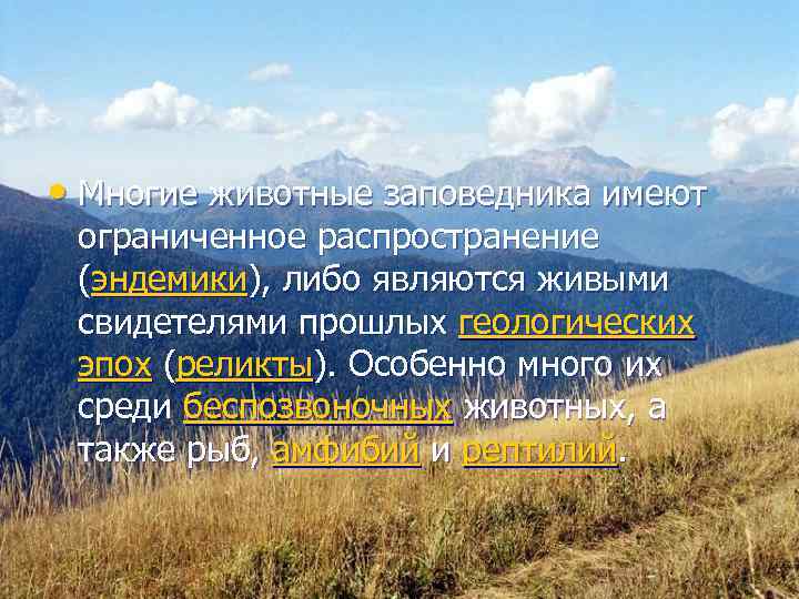  • Многие животные заповедника имеют  ограниченное распространение  (эндемики), либо являются живыми