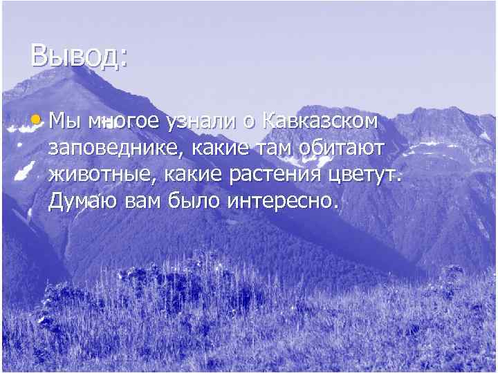 Вывод:  • Мы многое узнали о Кавказском  заповеднике, какие там обитают 