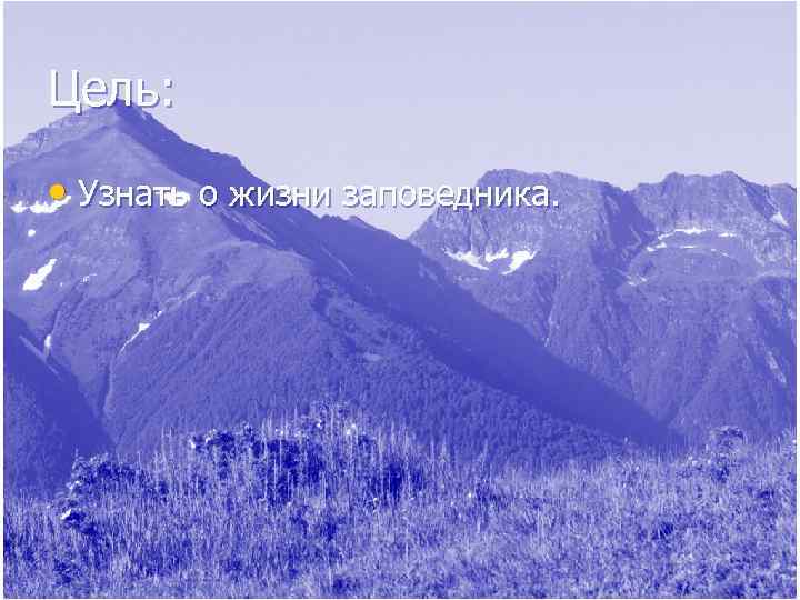 Цель:  • Узнать о жизни заповедника. 