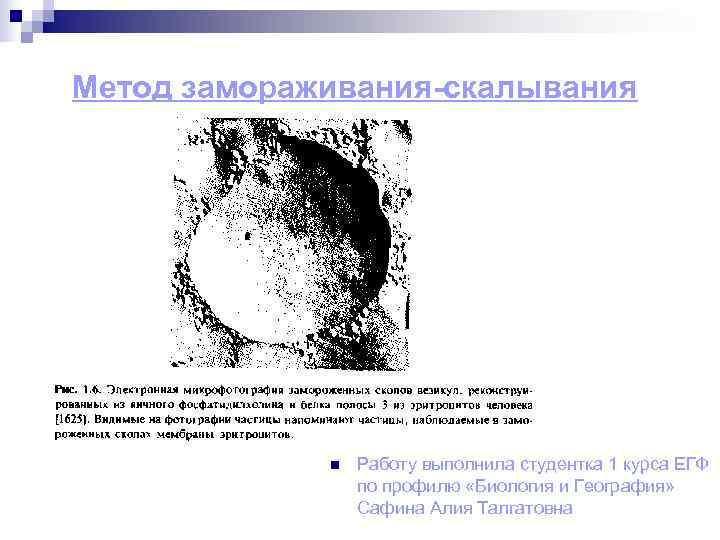 Метод замораживания-скалывания   n  Работу выполнила студентка 1 курса ЕГФ  