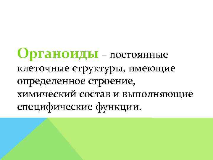 Органоиды – постоянные клеточные структуры, имеющие определенное строение, химический состав и выполняющие специфические функции.