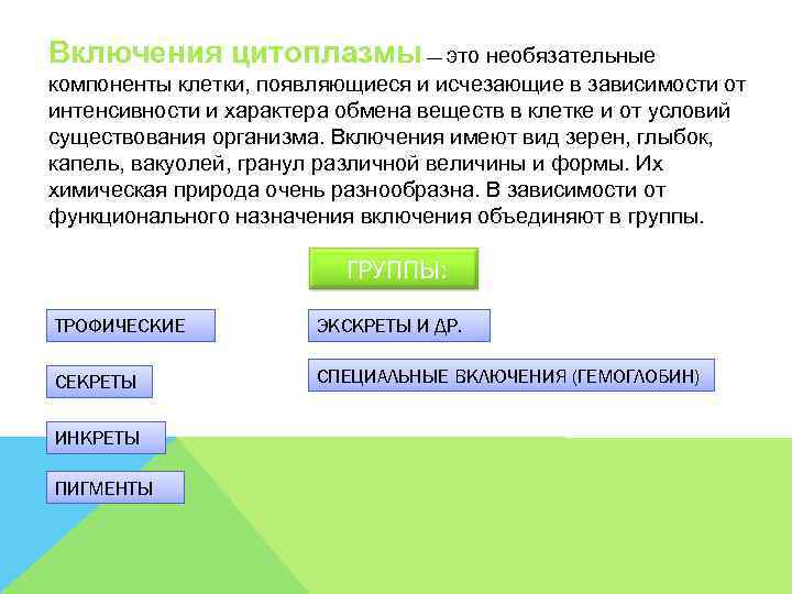 Включения цитоплазмы — это необязательные компоненты клетки, появляющиеся и исчезающие в зависимости от интенсивности