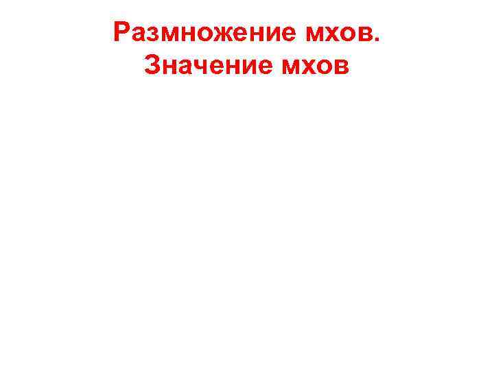 Размножение мхов.  Значение мхов 