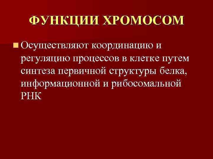   ФУНКЦИИ ХРОМОСОМ n Осуществляют координацию и  регуляцию процессов в клетке путем