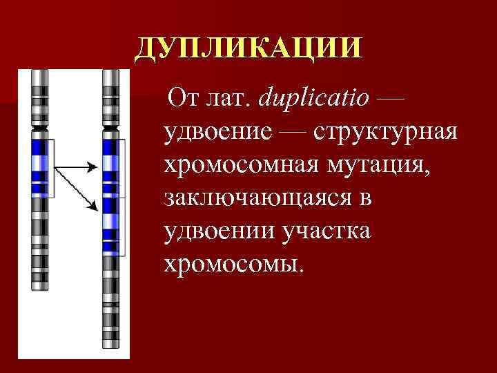 ДУПЛИКАЦИИ От лат. duplicatio —  удвоение — структурная  хромосомная мутация,  заключающаяся