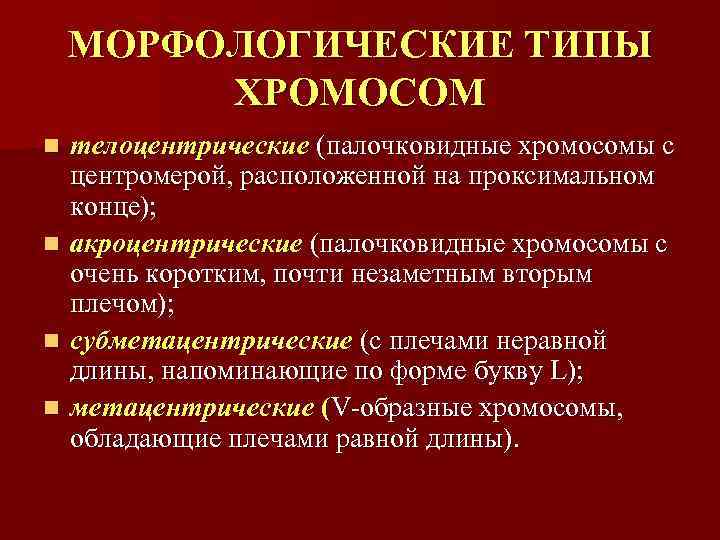  МОРФОЛОГИЧЕСКИЕ ТИПЫ  ХРОМОСОМ n  телоцентрические (палочковидные хромосомы с центромерой, расположенной