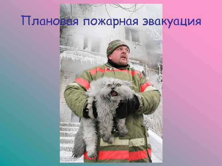 Плановая пожарная эвакуация 