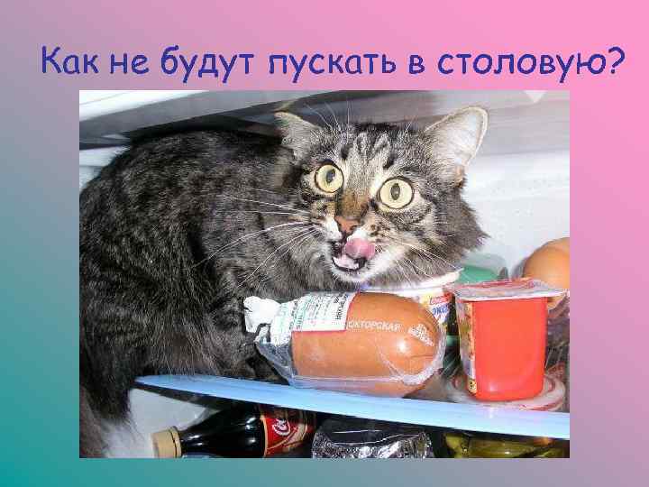 Как не будут пускать в столовую? 