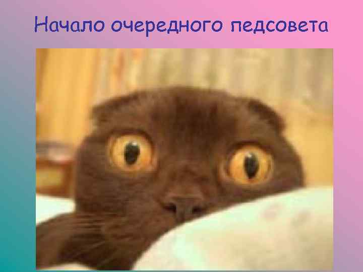 Начало очередного педсовета 