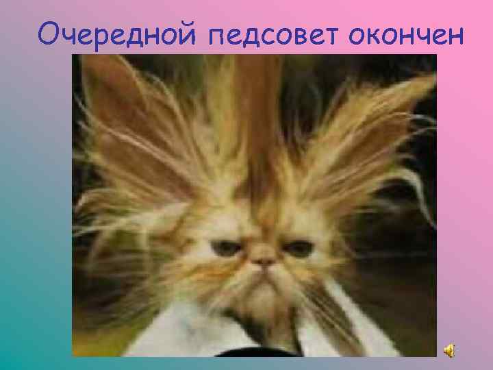 Очередной педсовет окончен 